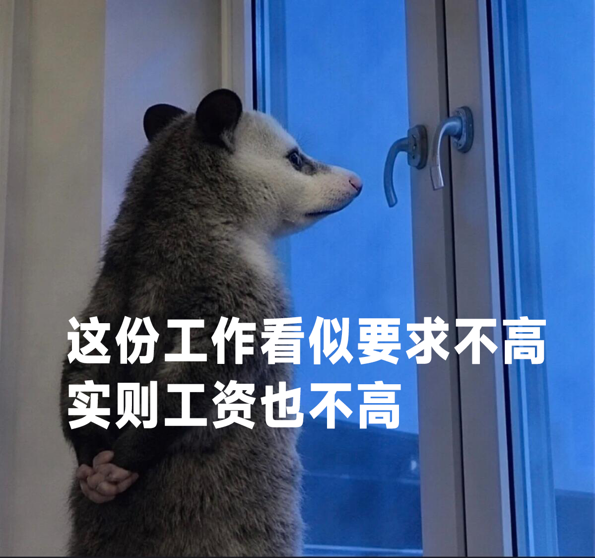 image_收集到几张小负鼠_0.png