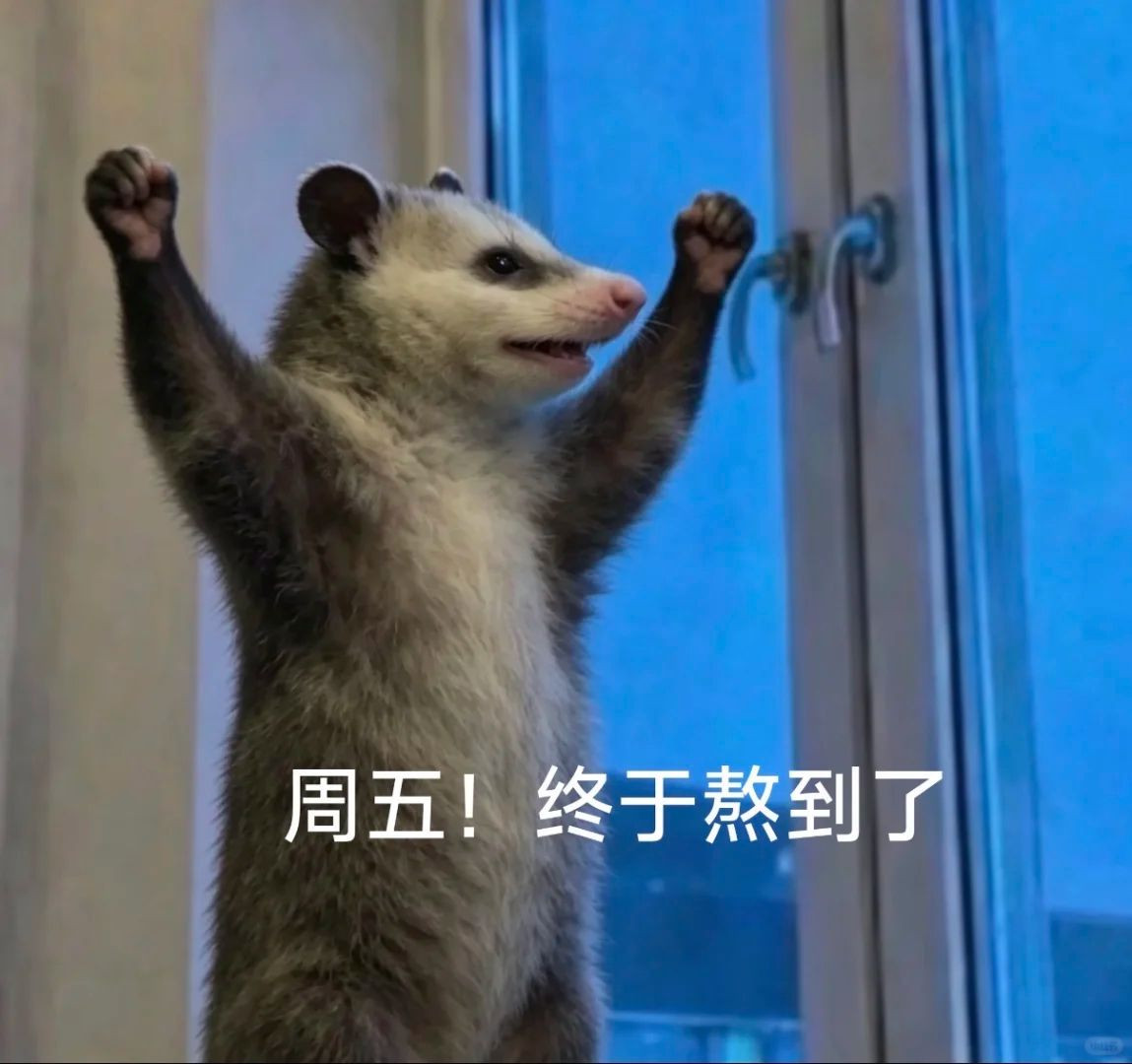 1040g3k0320ntvbh65ml048no538lmkh0ndovsoo!nd_dft_wgth_webp_3.jpg